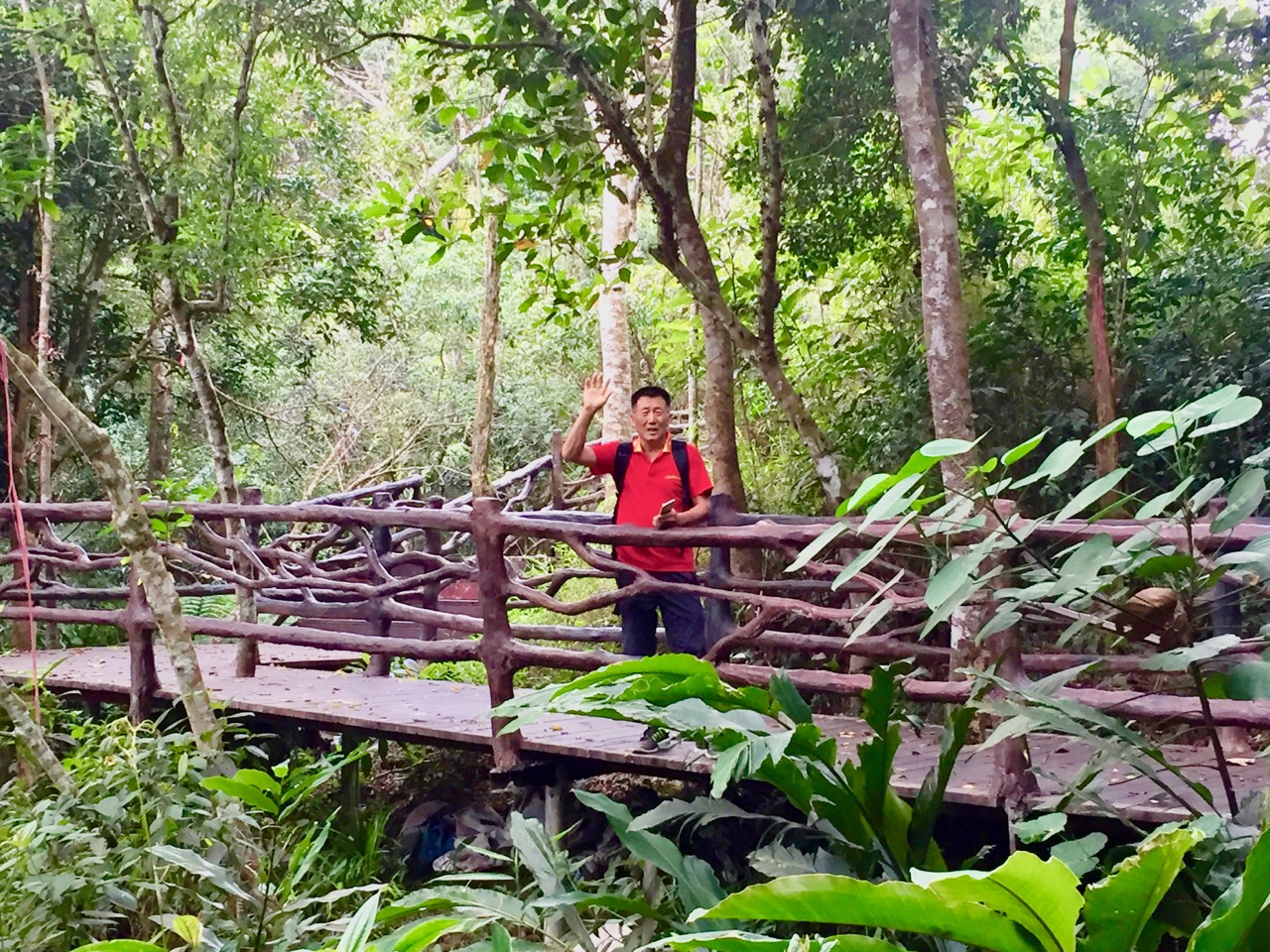 海南候鸟旅行,内陆候鸟自驾海南过冬