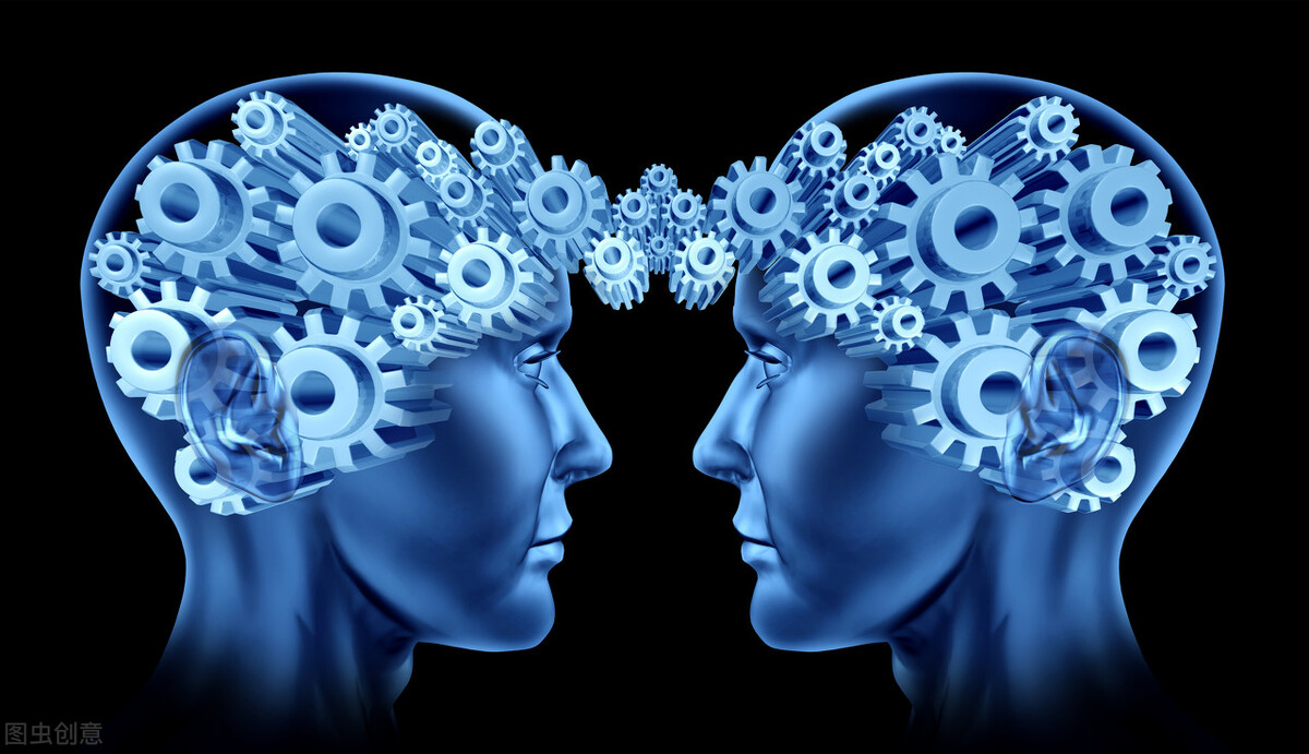 最强大脑卢菲菲揭秘高效记忆法,最强大脑翰林高效记忆法揭秘