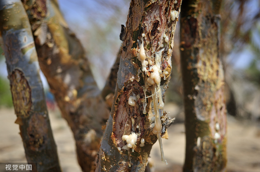 精油一般保质期多长时间,精油的有效期限是多久