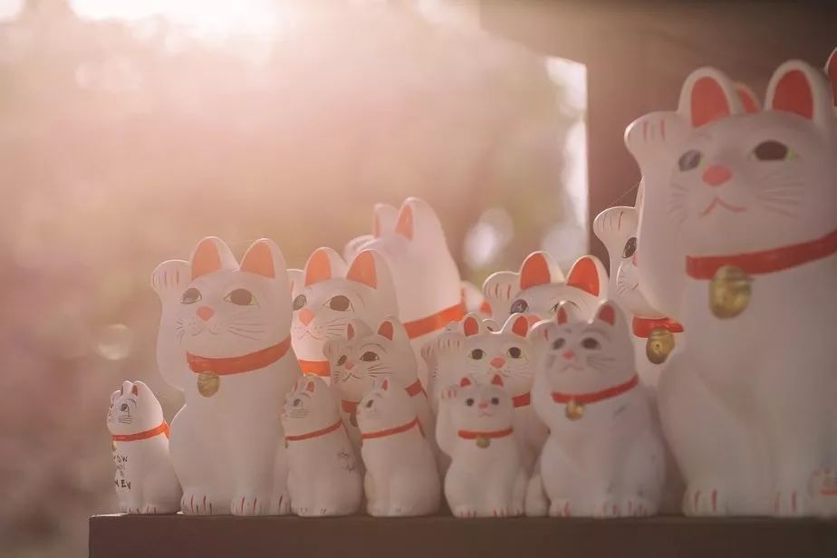 东京自由行最佳攻略详细,东京5日自由行攻略