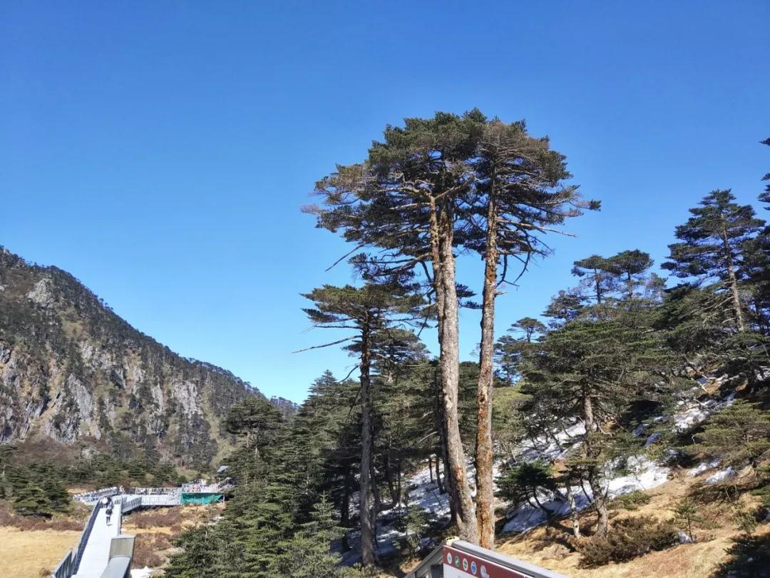 云旅游带你看遍天下美景,一起去旅行吧旅游