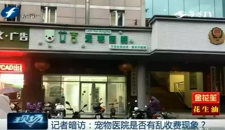 鍝瀹犵墿鍖婚櫌姝ｈ涓嶄贡鏀惰垂,鏇濆厜瀹犵墿琛屼笟榛戝箷