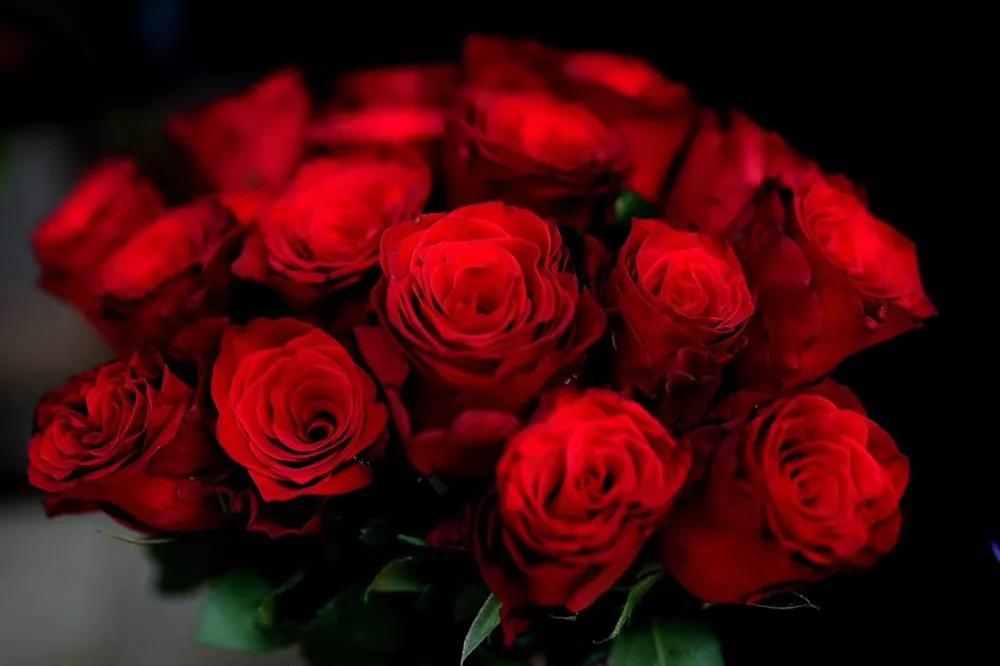 花店必备的5款玫瑰,花店常用的10款玫瑰花是哪些品种