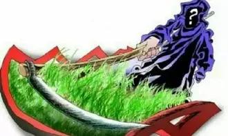 厦门一男子网络投资被骗52万,厦门一男子2周被骗217万