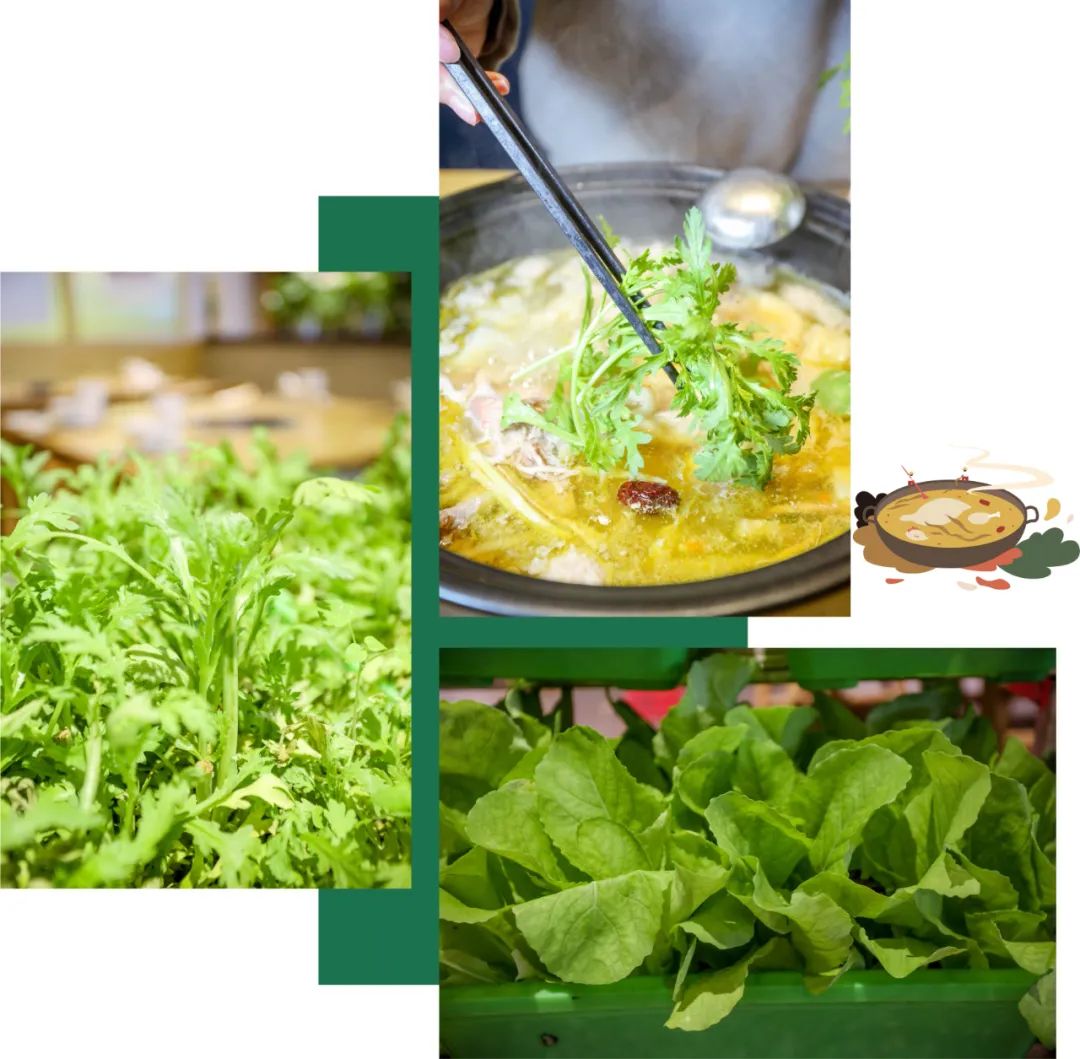 7月新鲜笋炖鸡怎么炖最好吃,天目山鲜笋炖鸡