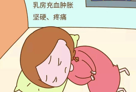 产后乳房硬得像石头涨奶疼怎么办,产后胸涨奶像石头一样