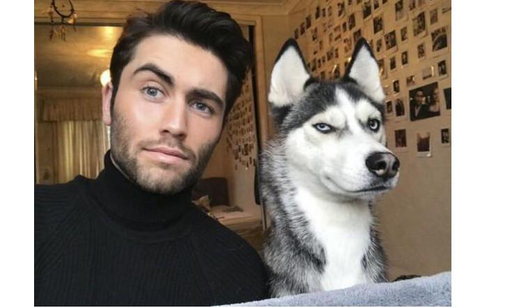 怎么养哈士奇才能让它乖一点,怎么养哈士奇不会咬人