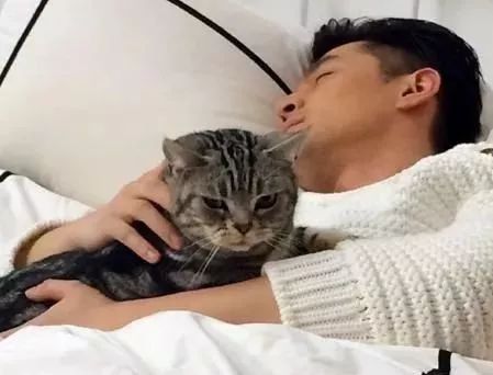 胡歌彭于晏和我,胡歌我和我的父辈