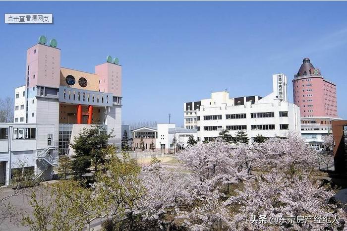 闈掓．涓ぎ瀛﹂櫌澶у,鏃ユ湰闈掓．涓ぎ瀛﹂櫌澶у