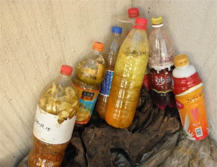 农家沤肥的简单方法,在家沤液肥新手教程