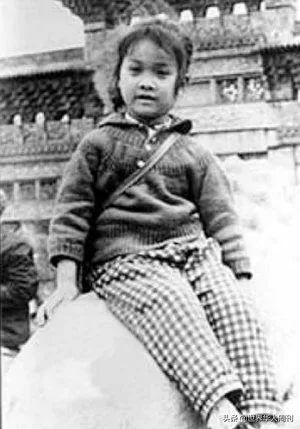 那英综艺节目淘汰,那英入围几次金曲奖