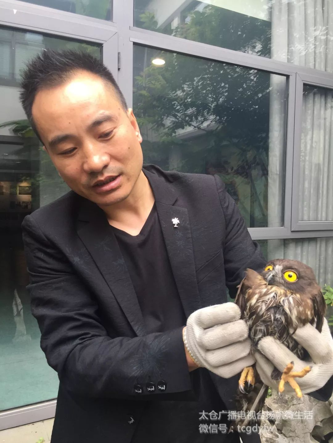 宝兴警方救助一只可爱的野生动物,保安小哥帮忙照顾走失狗狗