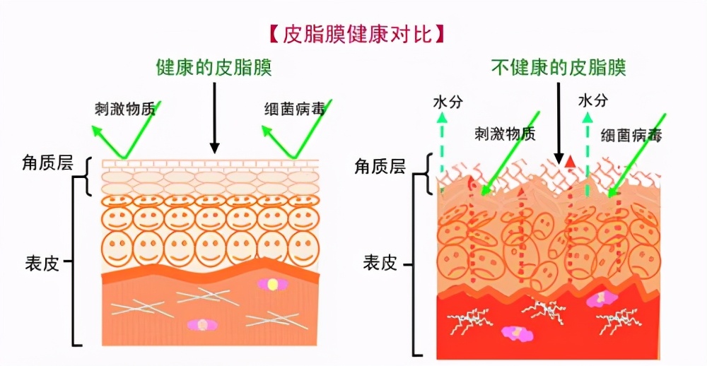 药学博士护肤品推荐,药学博士保湿化妆品