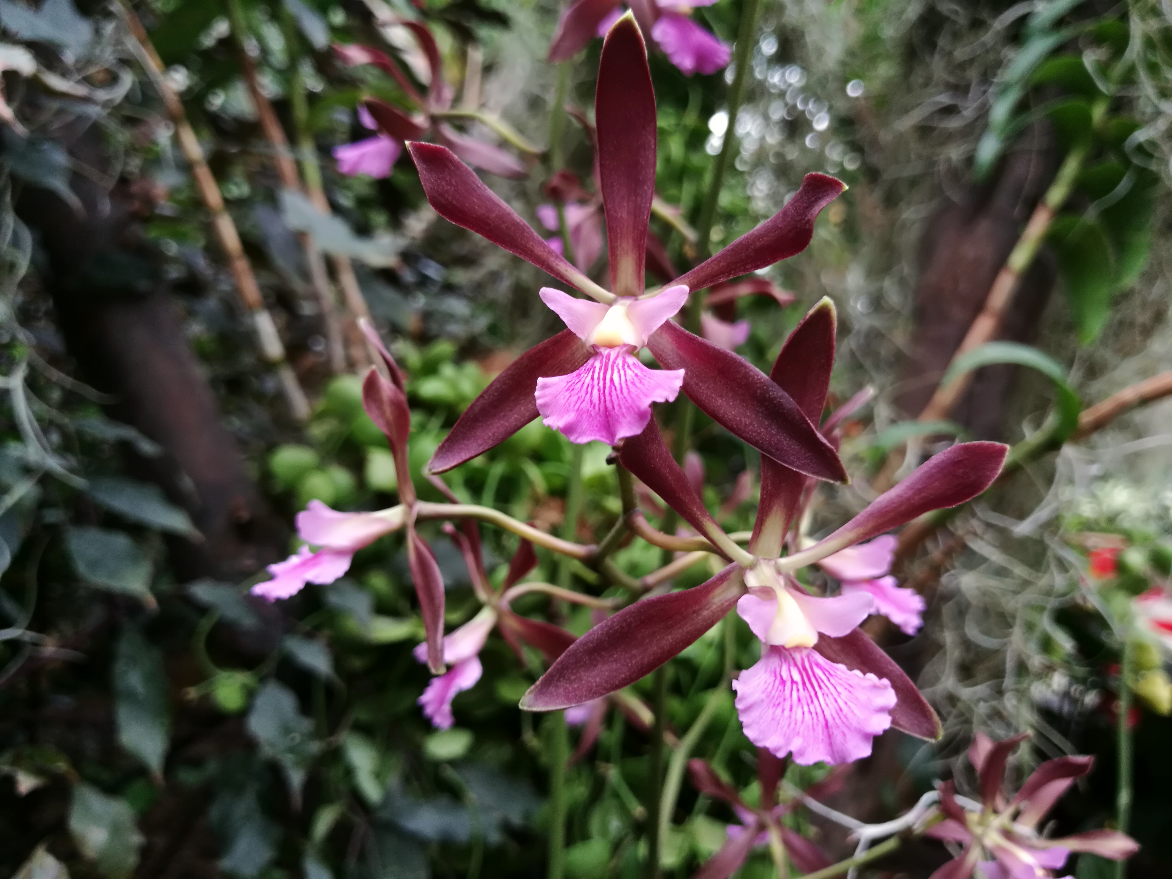 大头大头下雨不愁免费完整版,大头大头下雨不愁小说