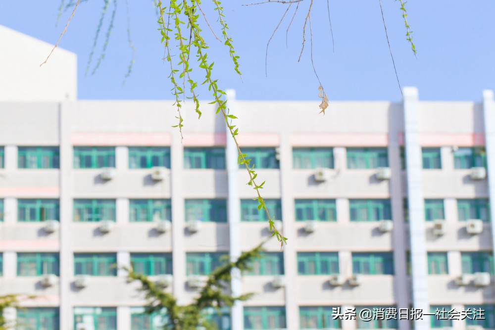 北京工商大学王牌专业,点评北京工商大学