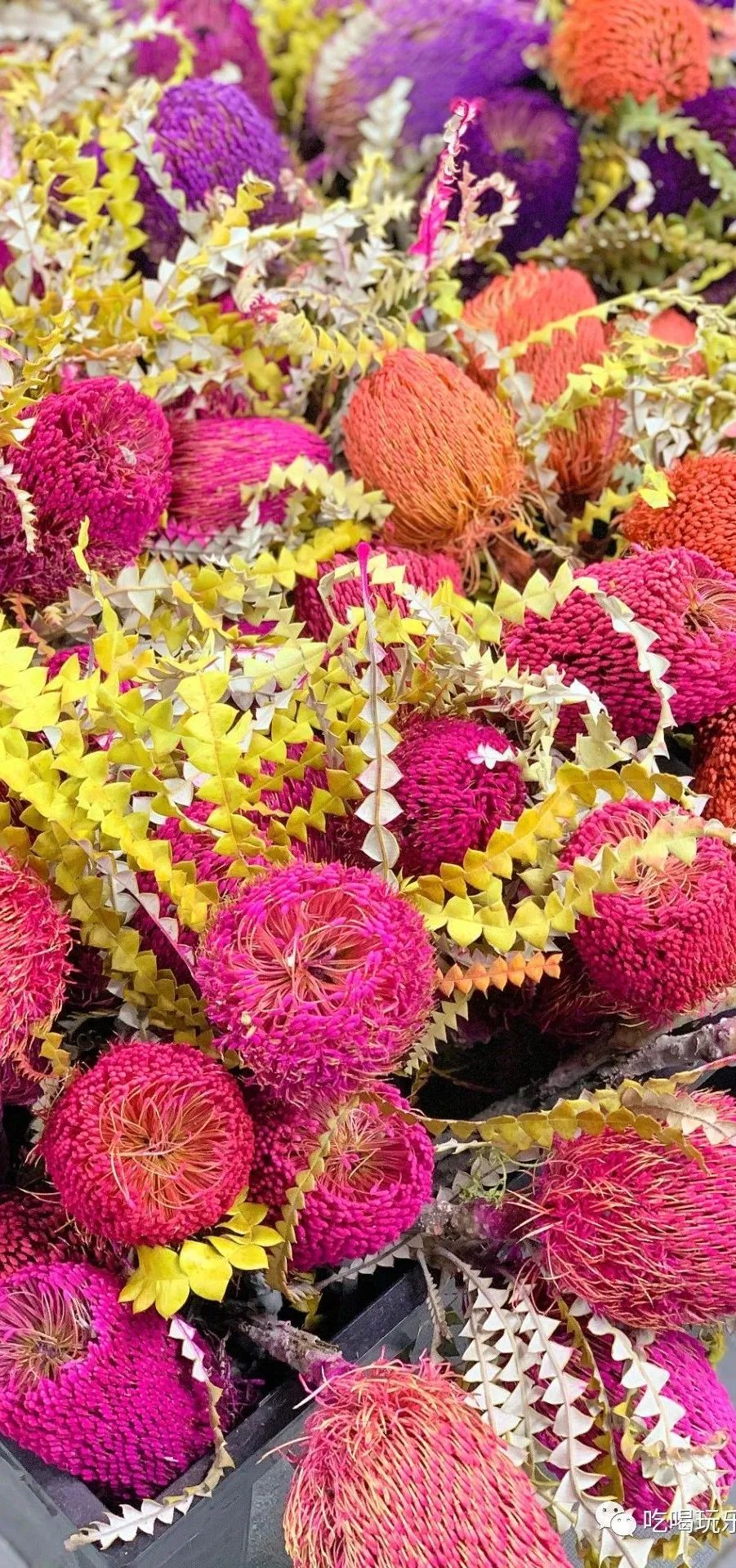 北京花市攻略大全,北京最美赏花景点