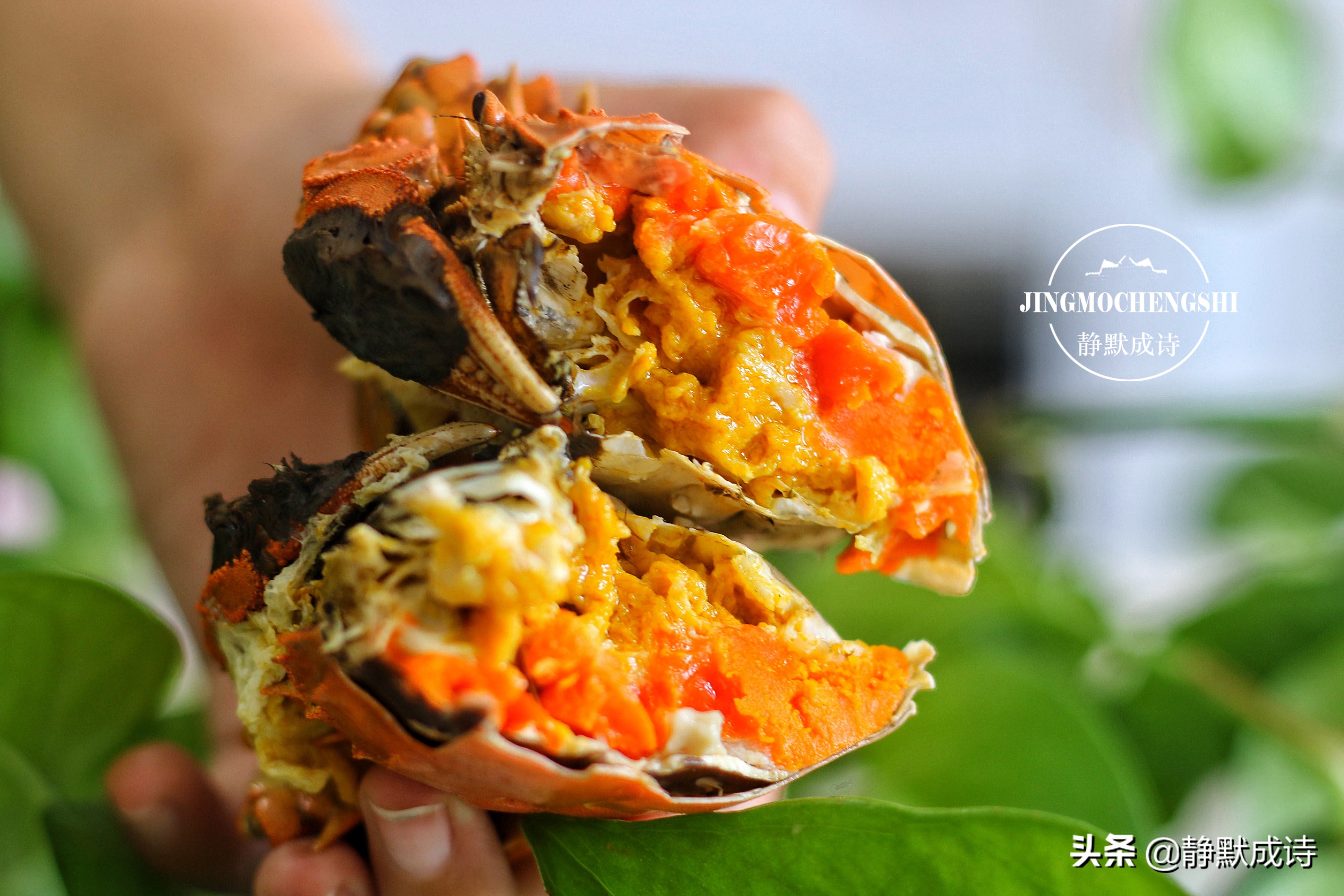 大闸蟹是用大火蒸还是用小火蒸,大闸蟹怎么蒸需要几分钟