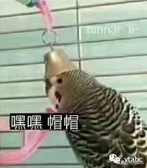 靠贴牌营收13亿！你盖的“南极人”还是精制羊毛被吗？