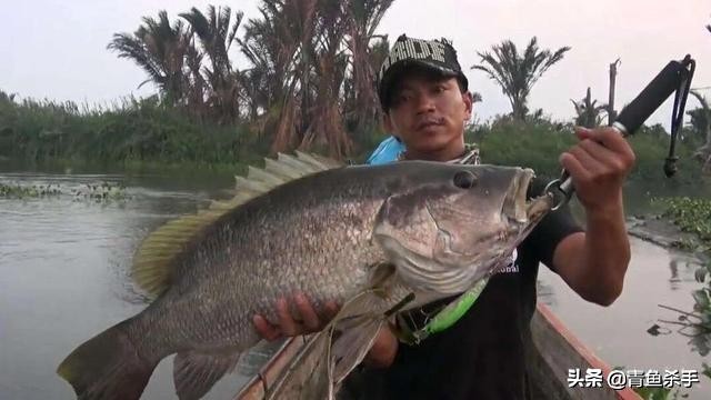 路亚炸线的原因分析和解决办法,玩路亚为什么炸线