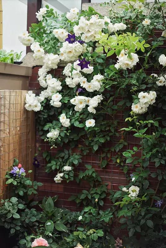 最有质感的家欢迎借鉴,打造浪漫有格调的家