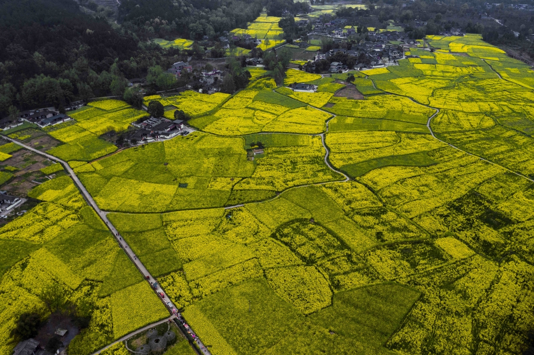 地理老师雷亚鸣怎么样,地理老师雷亚鸣