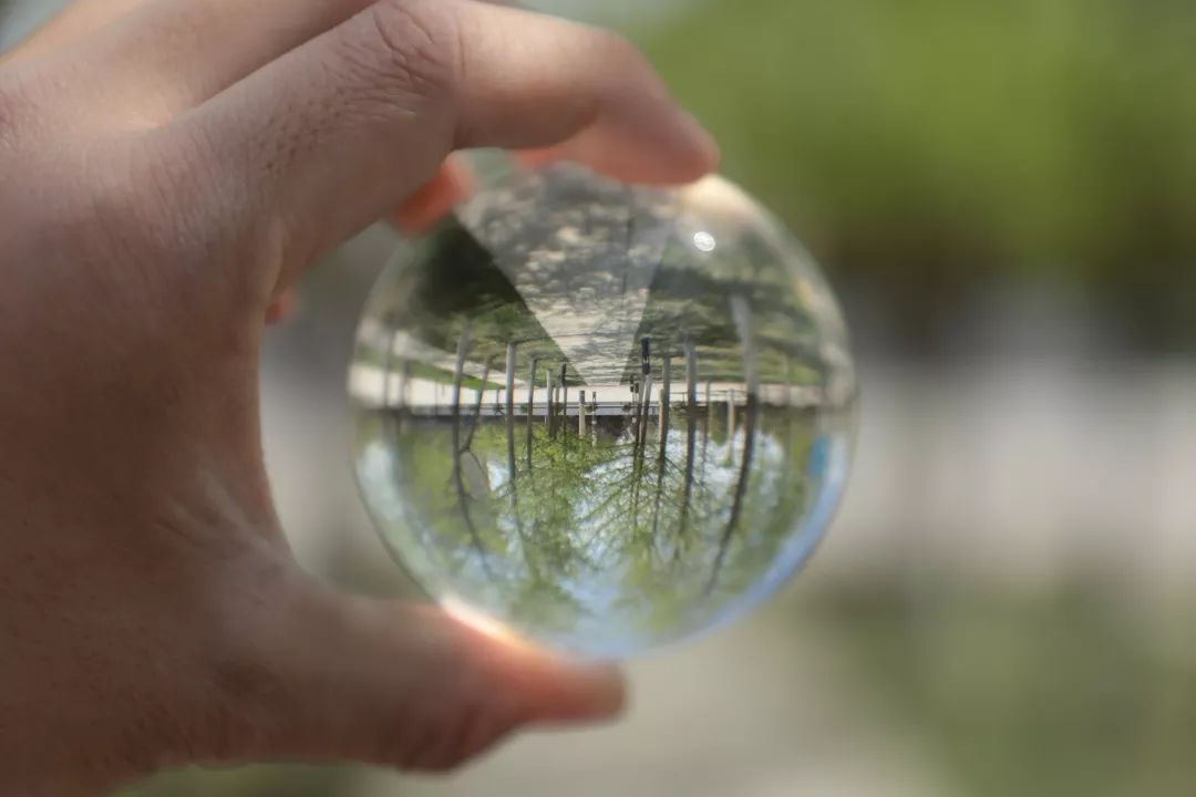 微视角|于玻璃球中赏魅力长大!