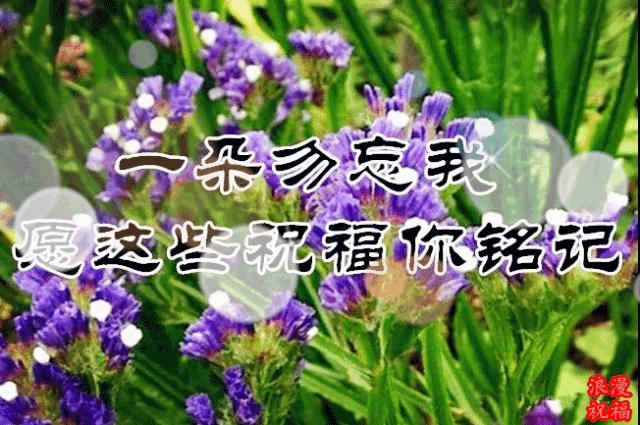 三八妇女节问候公文形式,三八妇女节问候男人