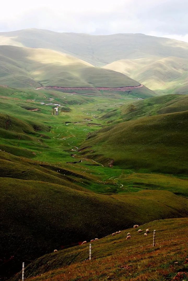 收好这份云南最新5a景区名单,云南的5a级景区有哪些