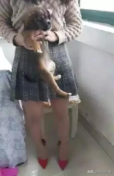 “美女*杀虐**动物”视频定制贩卖成产业链！开价15000一部