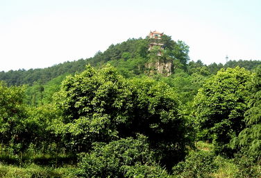 鹧鸪天三岭山,鹧鸪天天宁寺