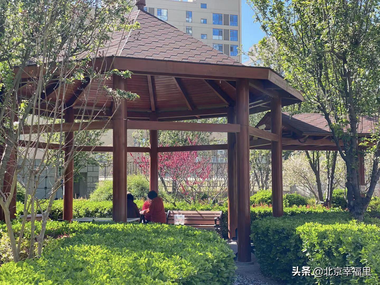 魏公村地铁站南次新楼盘 (魏公村北区房子值得买吗)