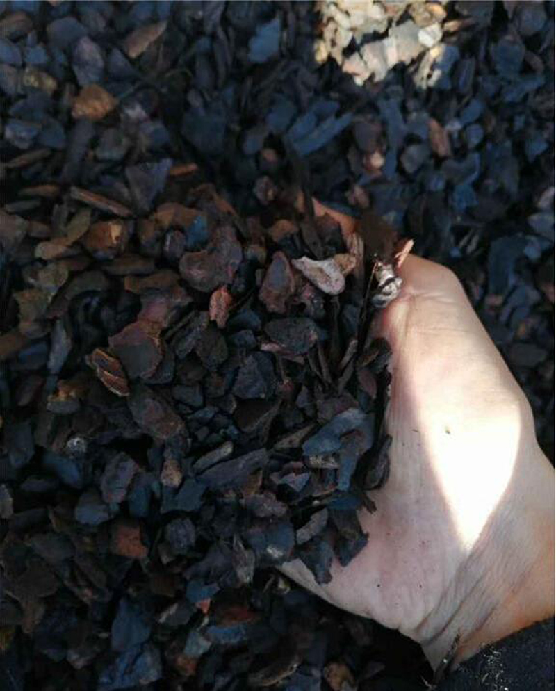 兰花上盆步骤详细演示讲解,兰花刚上盆几天可以浇水