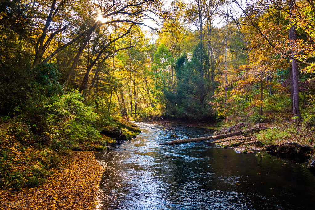 气血亏虚怎样才能最快补回来,气血亏虚一般多久可以补过来