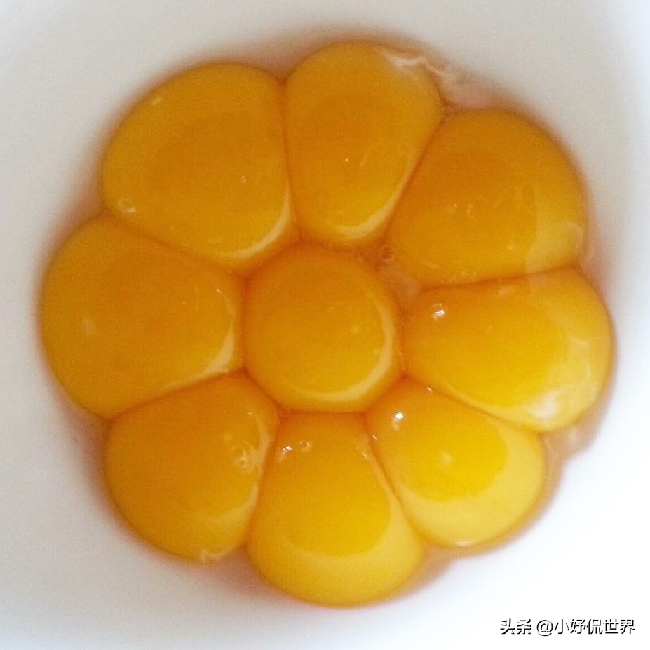 可给强迫症带来极大满足感的20张图片