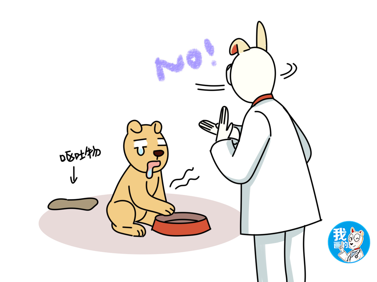 狗狗肠胃炎早期症状及治疗方法,狗狗得肠胃炎的症状及治疗