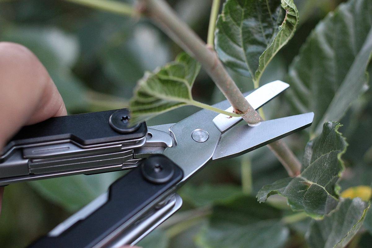 火候多功能刀与纳拓多功能刀,火候多功能