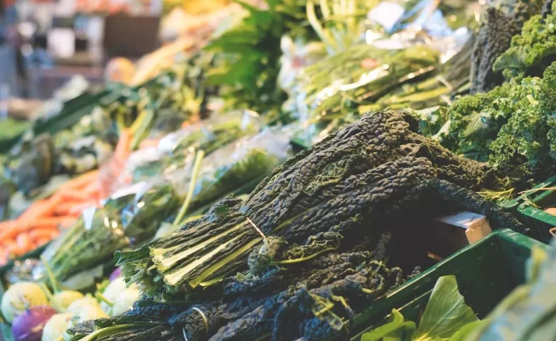 中国有机农业的道路应该如何寻找,有机农业中国农业