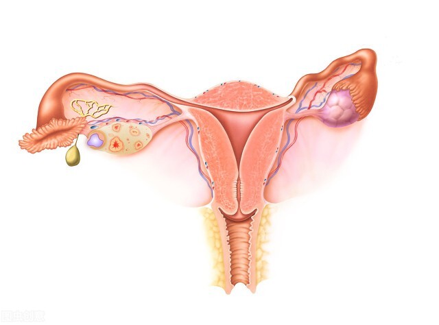 50岁女性更年期症状有哪些,二十多岁有更年期症状