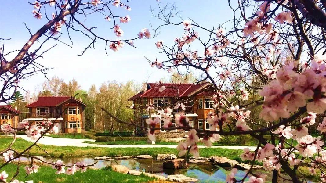 五一旅游如何去长白山,白山市4天旅游攻略