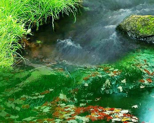 「大连诗社—古诗词之38期」若得一丘容我老，便携藜杖事幽寻