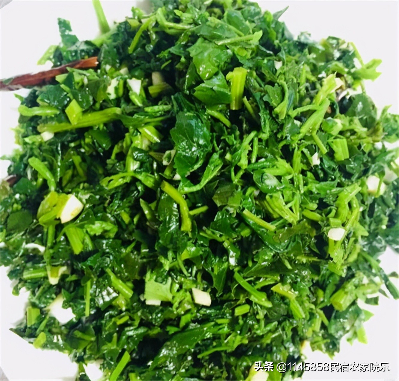 丰宁坝上奶豆腐,承德丰宁坝上友君庄园