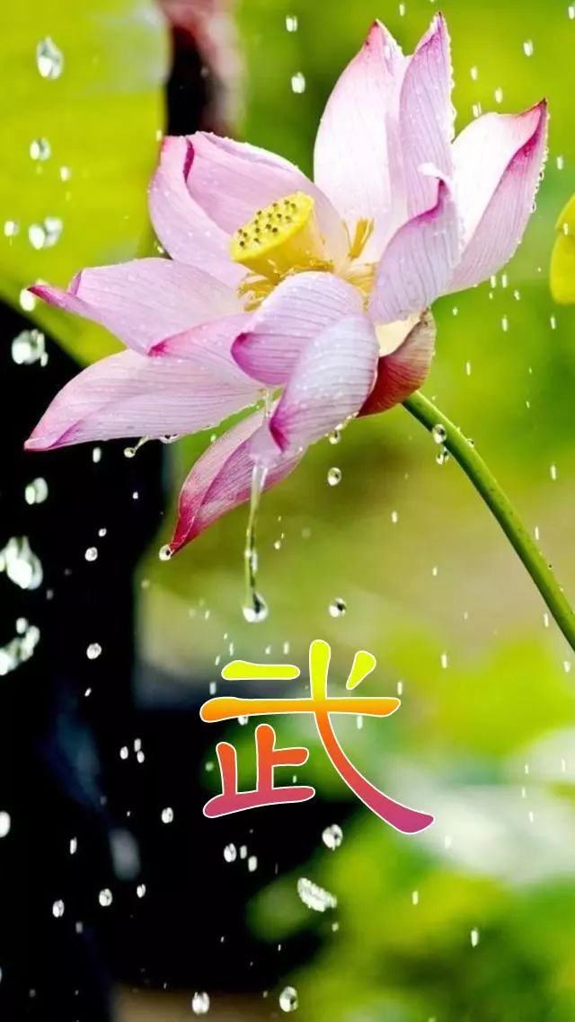 天然翡翠财字,翡翠字体图片欣赏