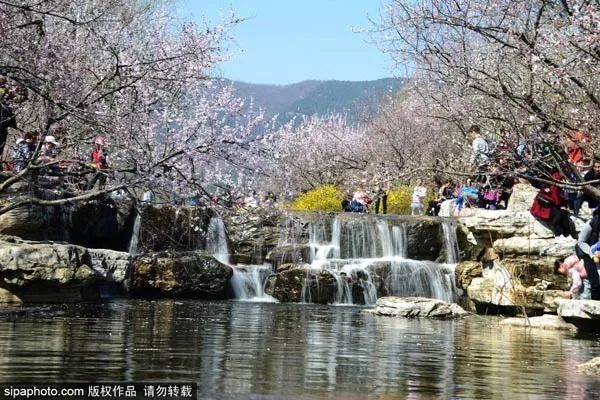 北京一类卡办理需要什么条件,北京生活办哪些卡