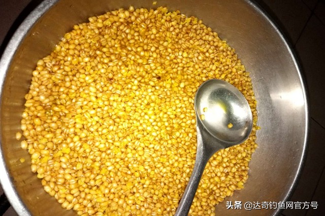 粮食窝料做不好？老钓友分享一款醇香四溢、专钓大鱼的窝料泡法