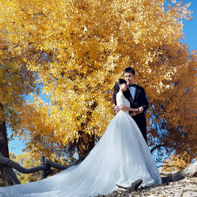 他们摄影,摄影师拍婚纱照油画