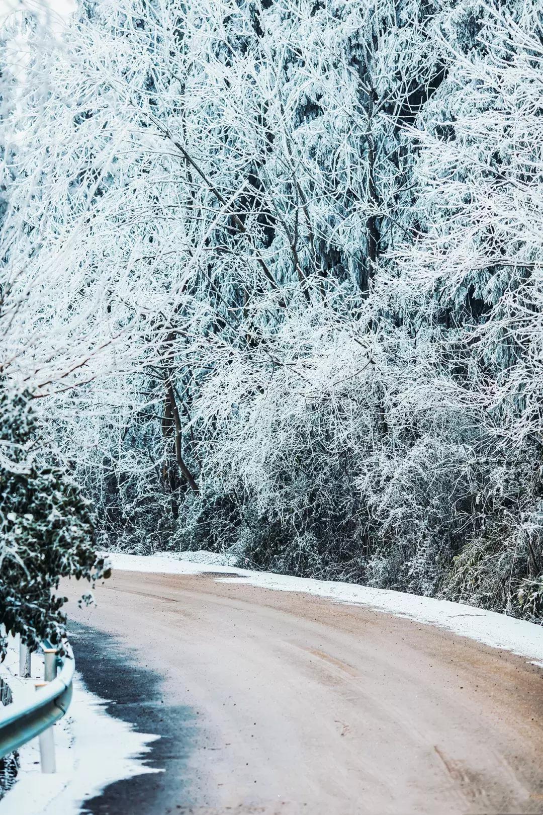 贵阳云雾山云海,贵阳云雾山雾凇旅游攻略