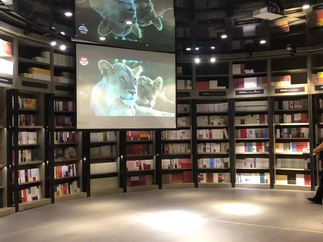 海哥带你游世界｜这周我们去非洲大草原看大西几！