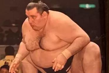 日本商业哪方面发展好,日本的零售业品牌