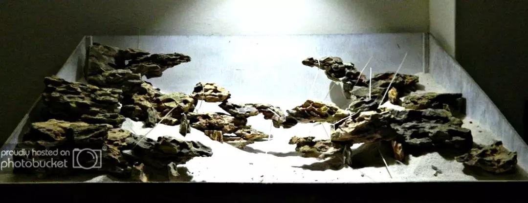 草缸造景教程：胶水造景太温柔，男人就该上电钻