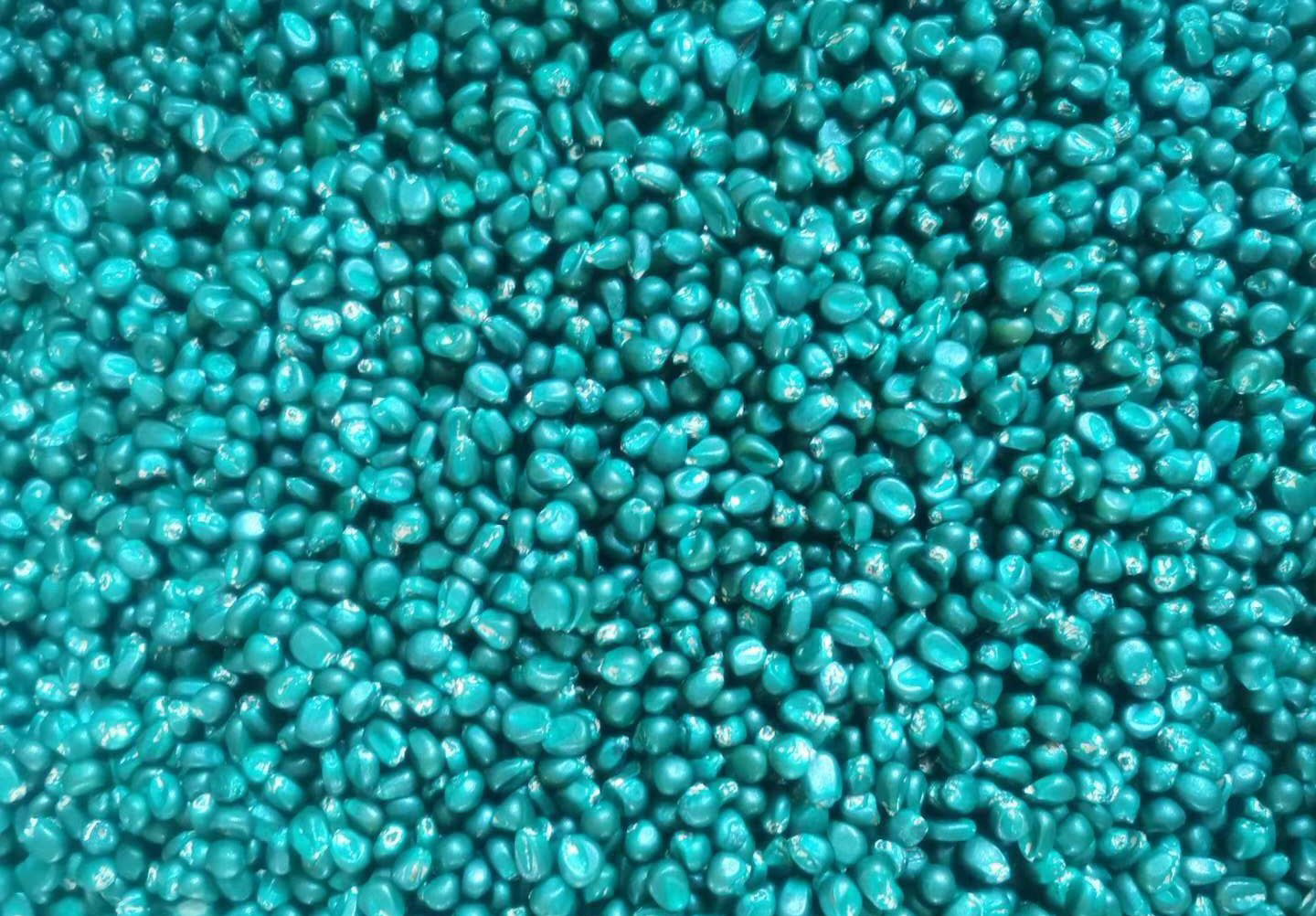 最新玉米种子批发价格,散装玉米批发价格